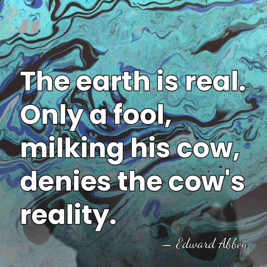 The earth is real. Only a fool, milking his cow, denies the&hellip; - Edward Abbey
