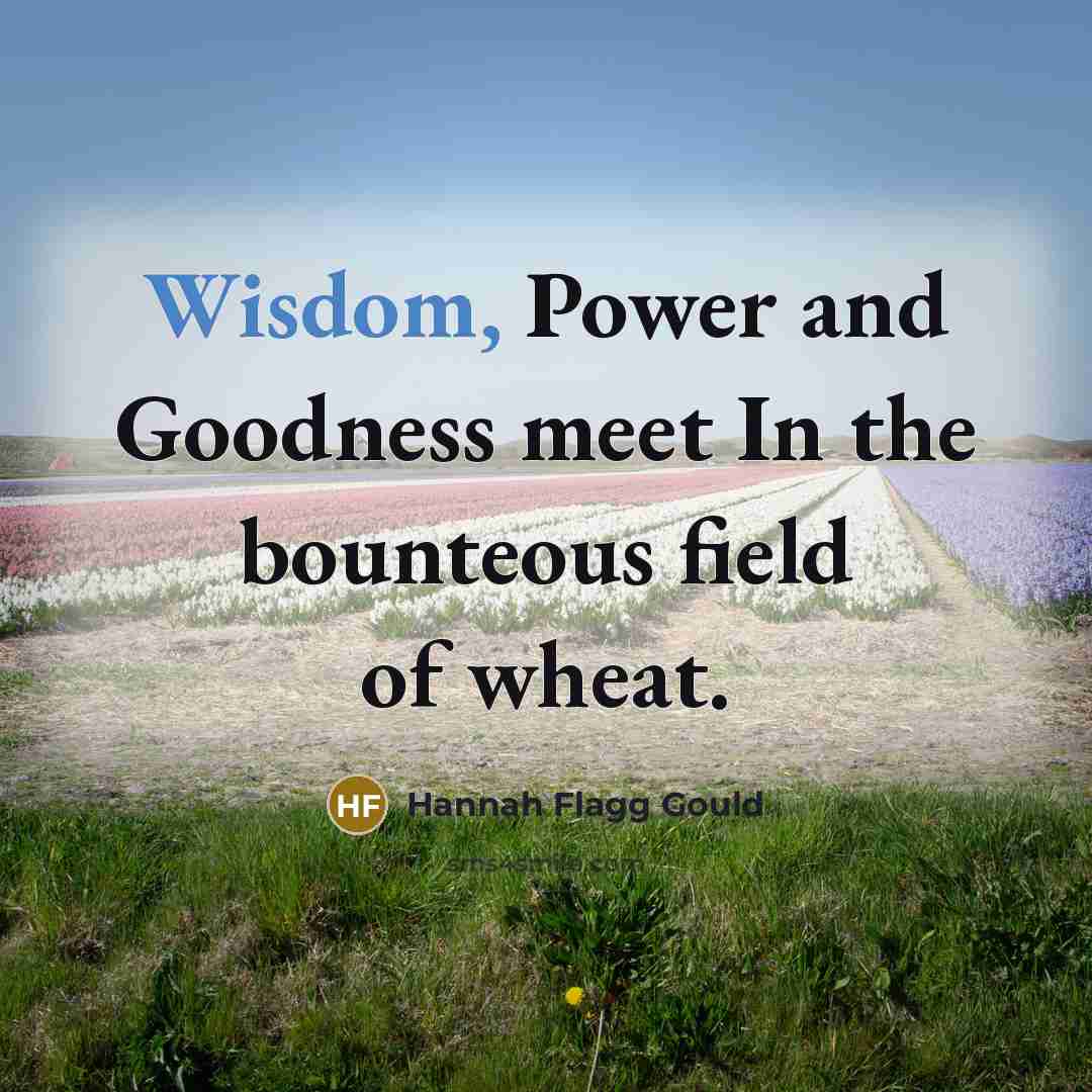“Wisdom, Power and Goodness meet In the bounteous field of…” quote by Hannah Flagg Gould