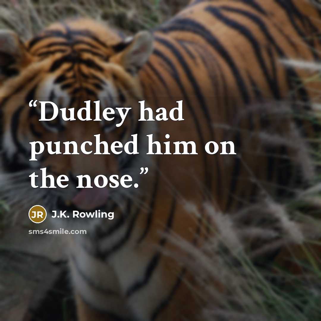 “Dudley had punched him on the nose.” quote by J.K. Rowling