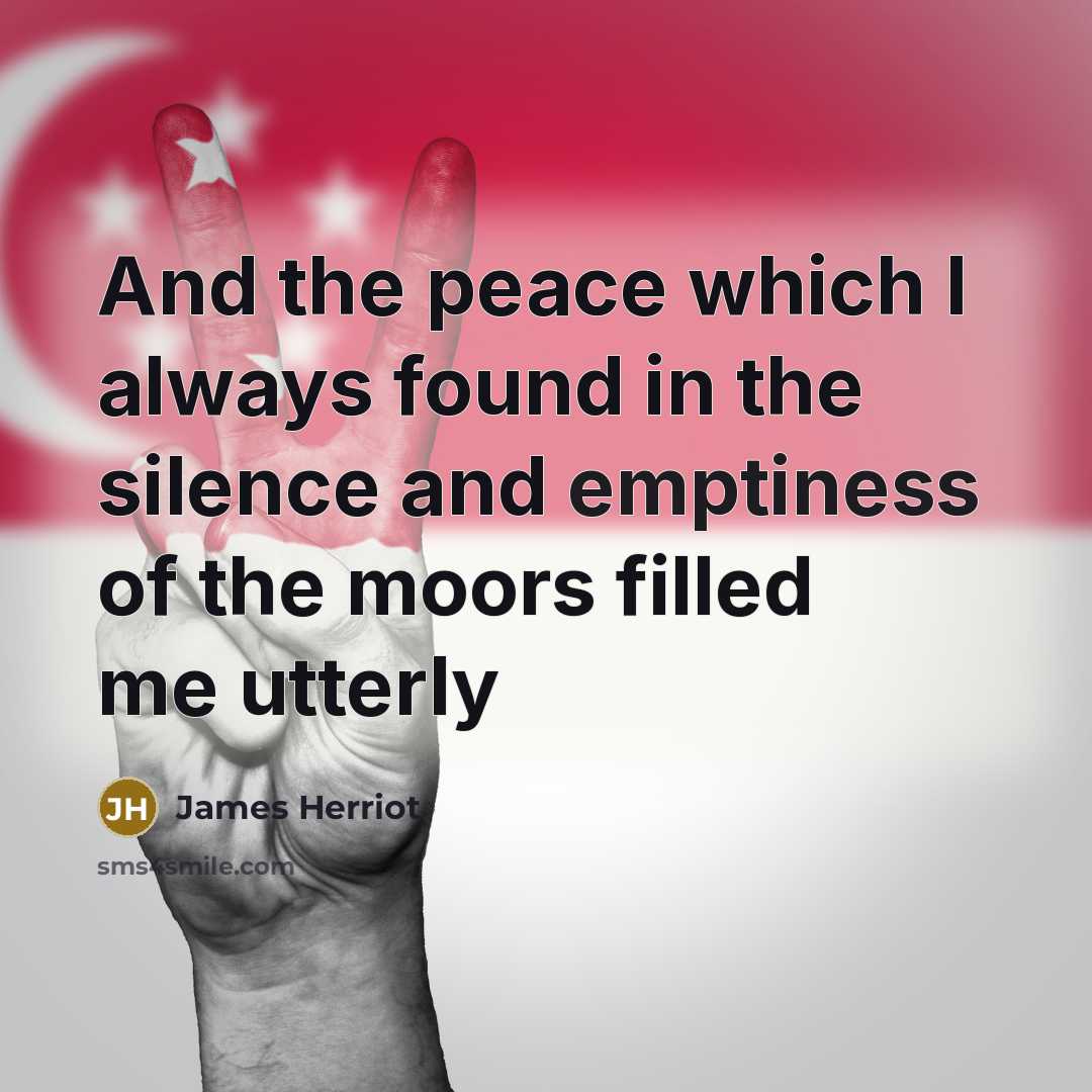 “And the peace which I always found in the silence…” quote by James Herriot