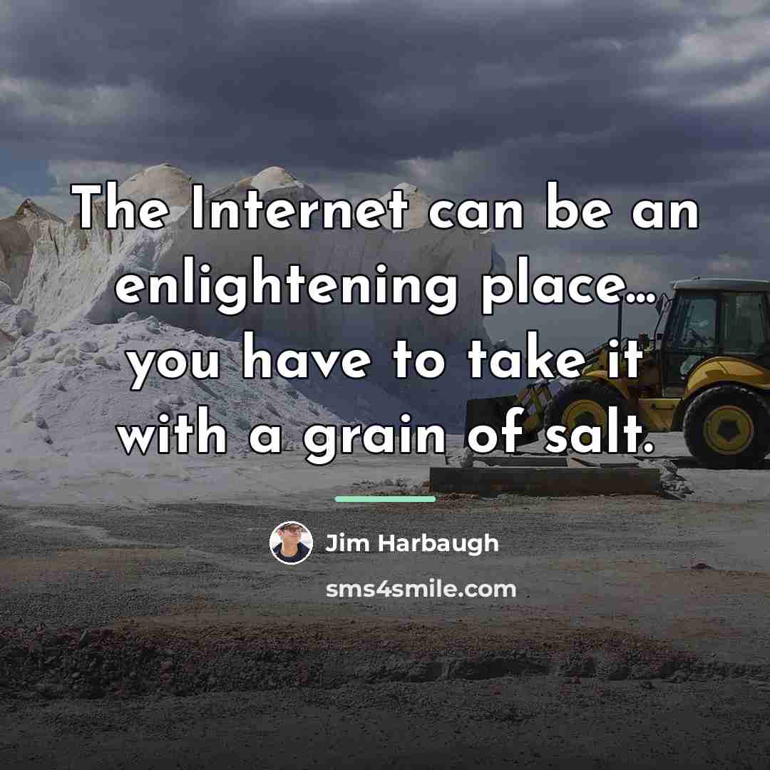 “The Internet can be an enlightening place... you have to…” quote by Jim Harbaugh