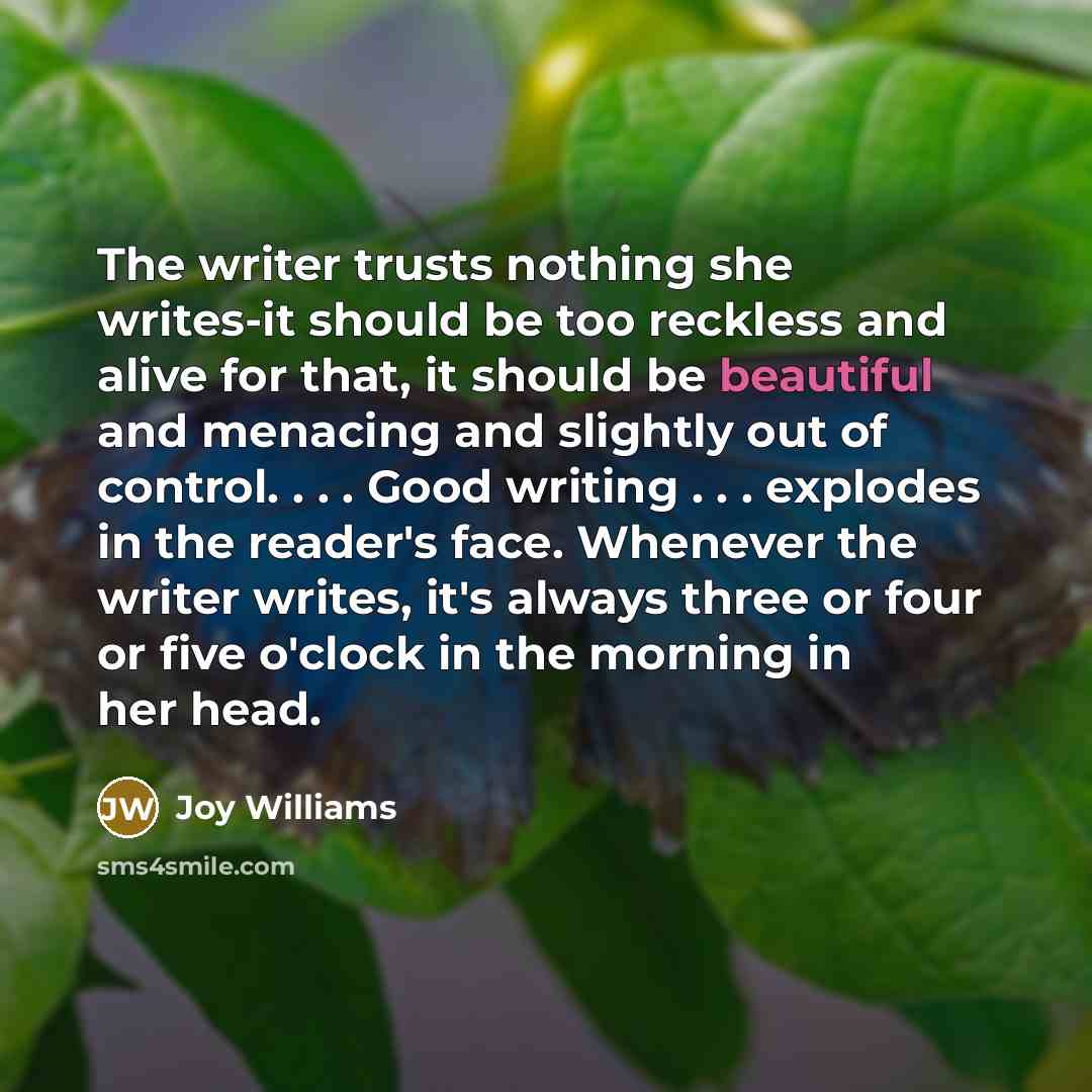 “The writer trusts nothing she writes-it should be too reckless…” quote by Joy Williams