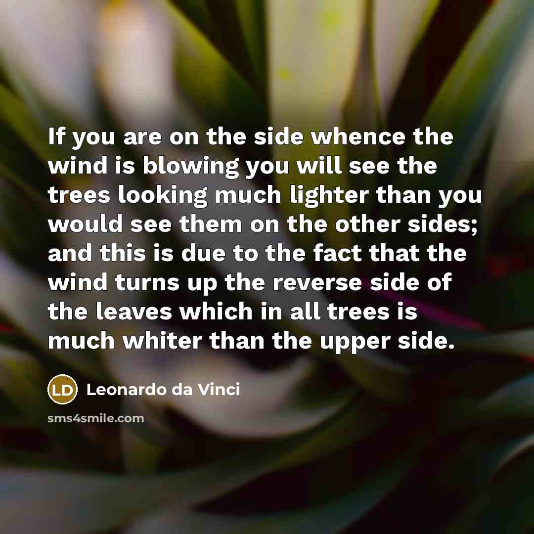 “If you are on the side whence the wind is…” quote by Leonardo da Vinci