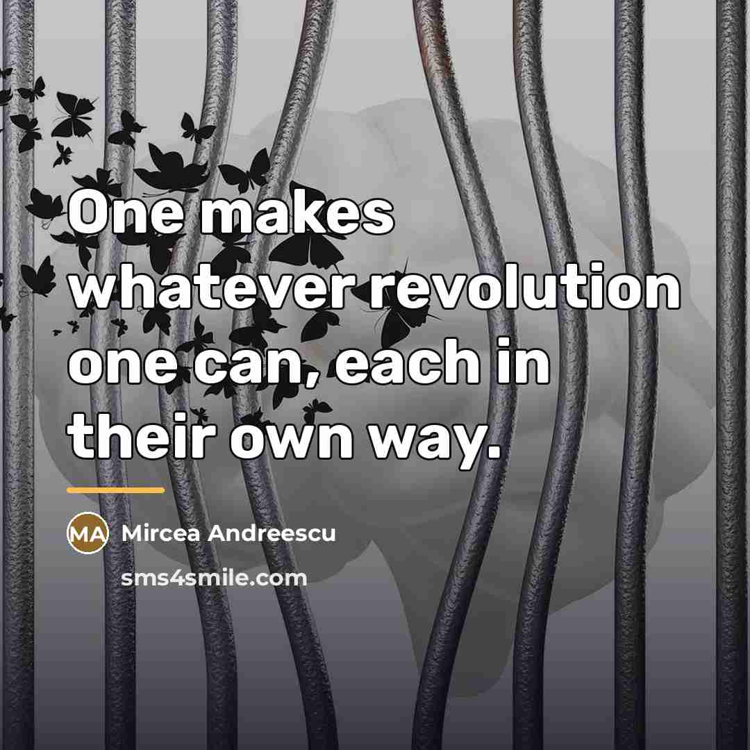 “One makes whatever revolution one can, each in their own…” quote by Mircea Andreescu