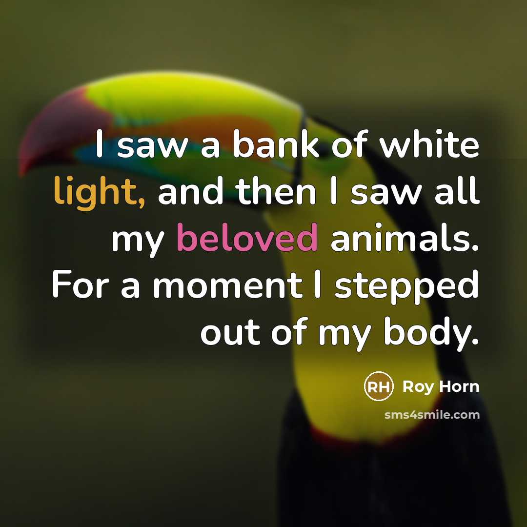 “I saw a bank of white light, and then I…” quote by Roy Horn