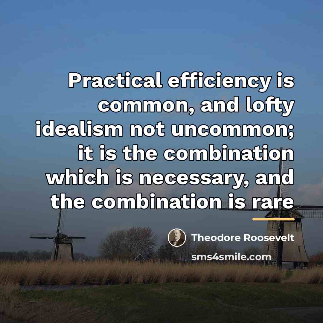 “Practical efficiency is common, and lofty idealism not uncommon; it…” quote by Theodore Roosevelt