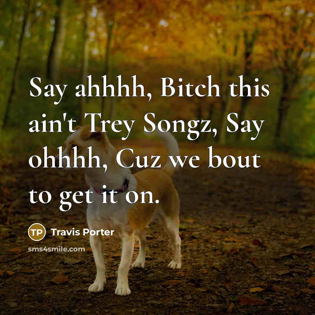 “Say ahhhh, Bitch this ain't Trey Songz, Say ohhhh, Cuz we bout to get it on.” quote by Travis Porter