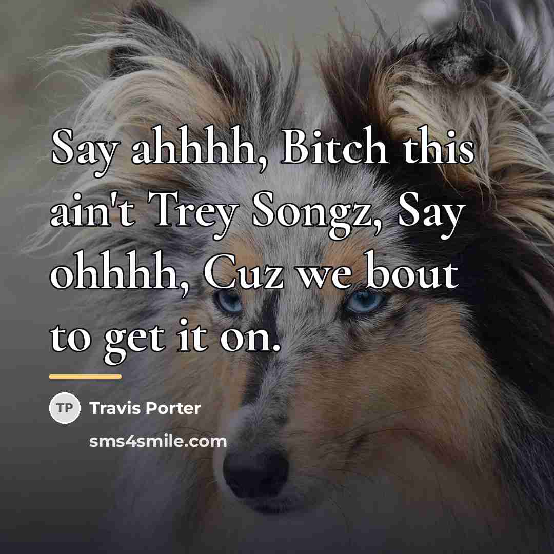 “Say ahhhh, Bitch this ain't Trey Songz, Say ohhhh, Cuz…” quote by Travis Porter