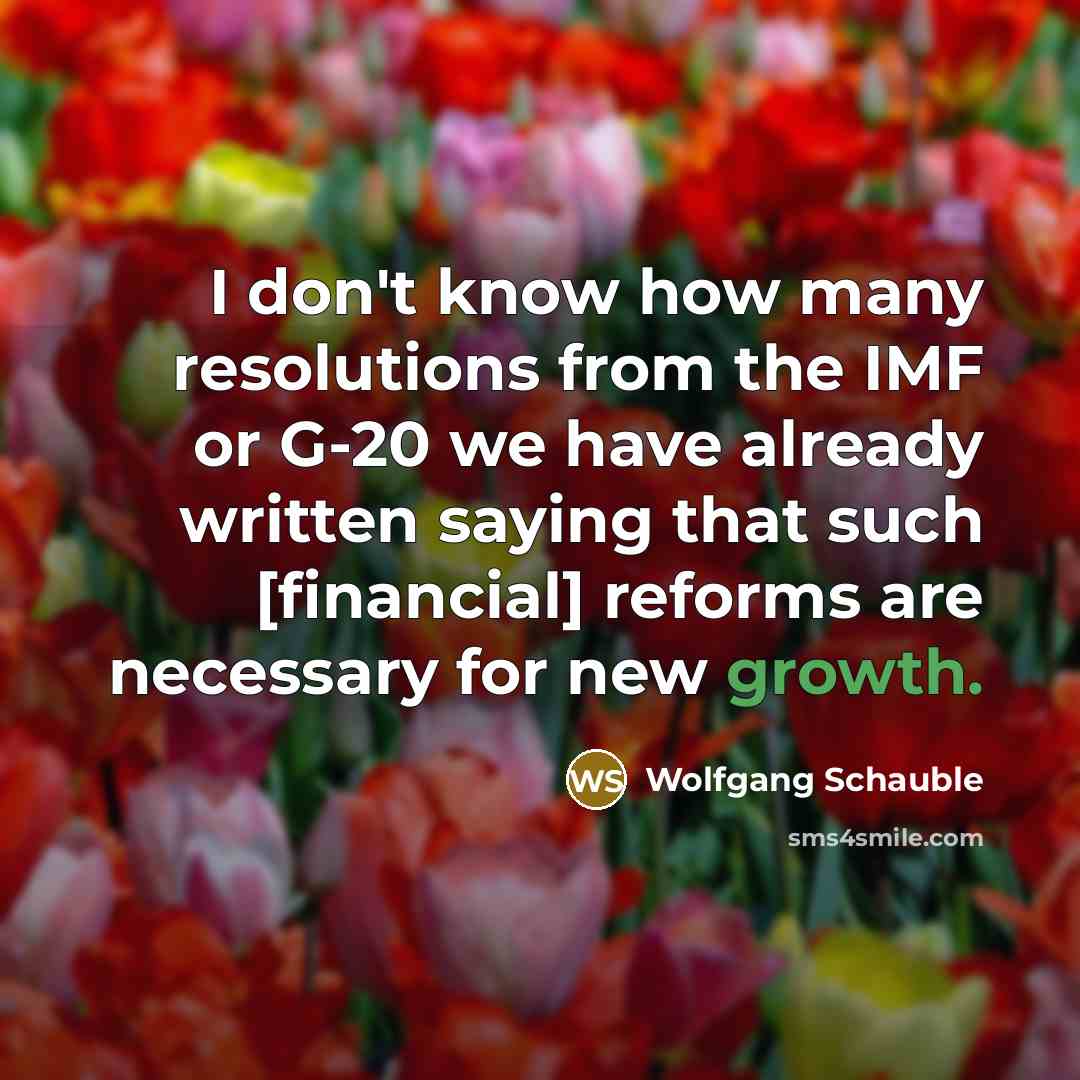“I don't know how many resolutions from the IMF or…” quote by Wolfgang Schauble