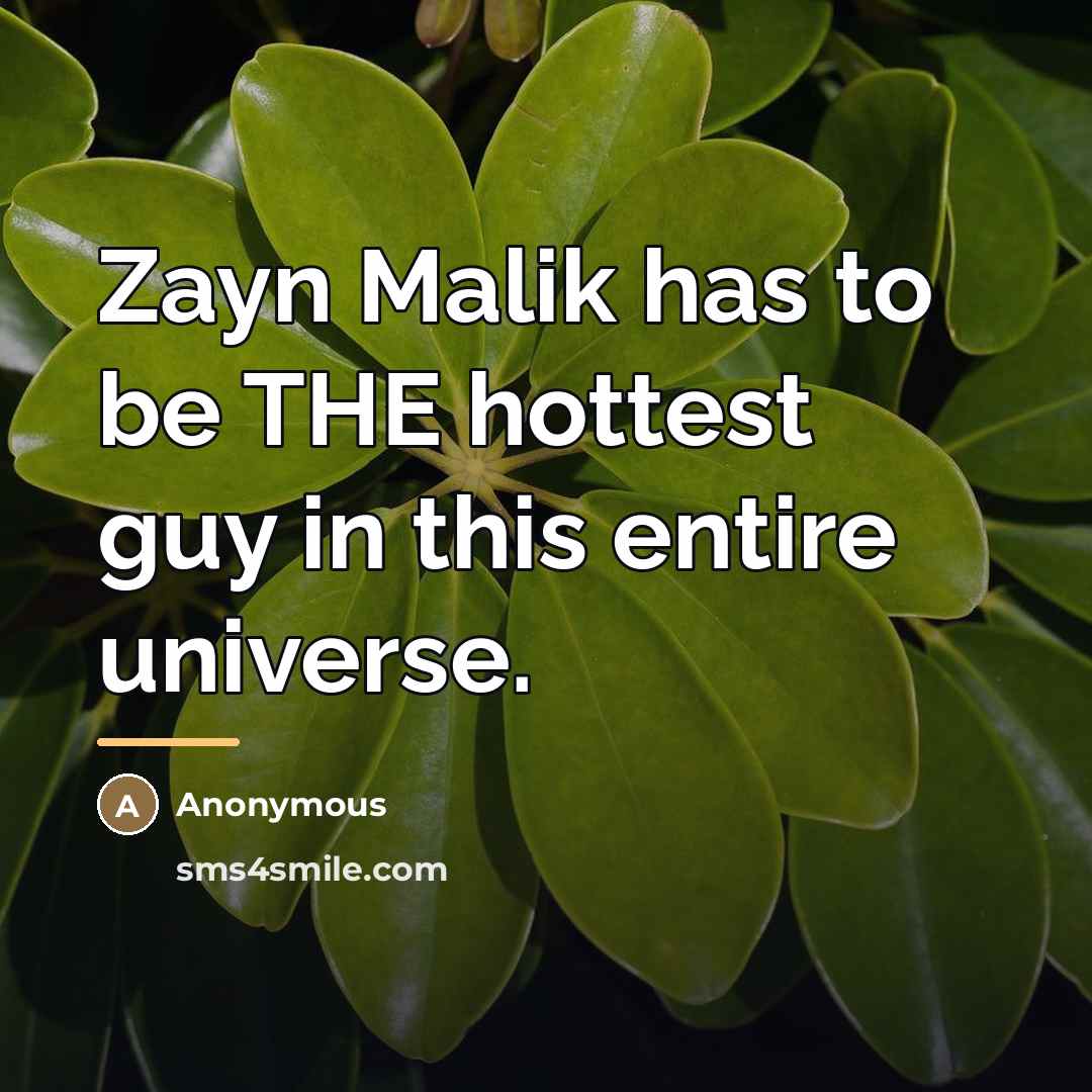 “Zayn Malik has to be THE hottest guy in this…” quote by Anonymous