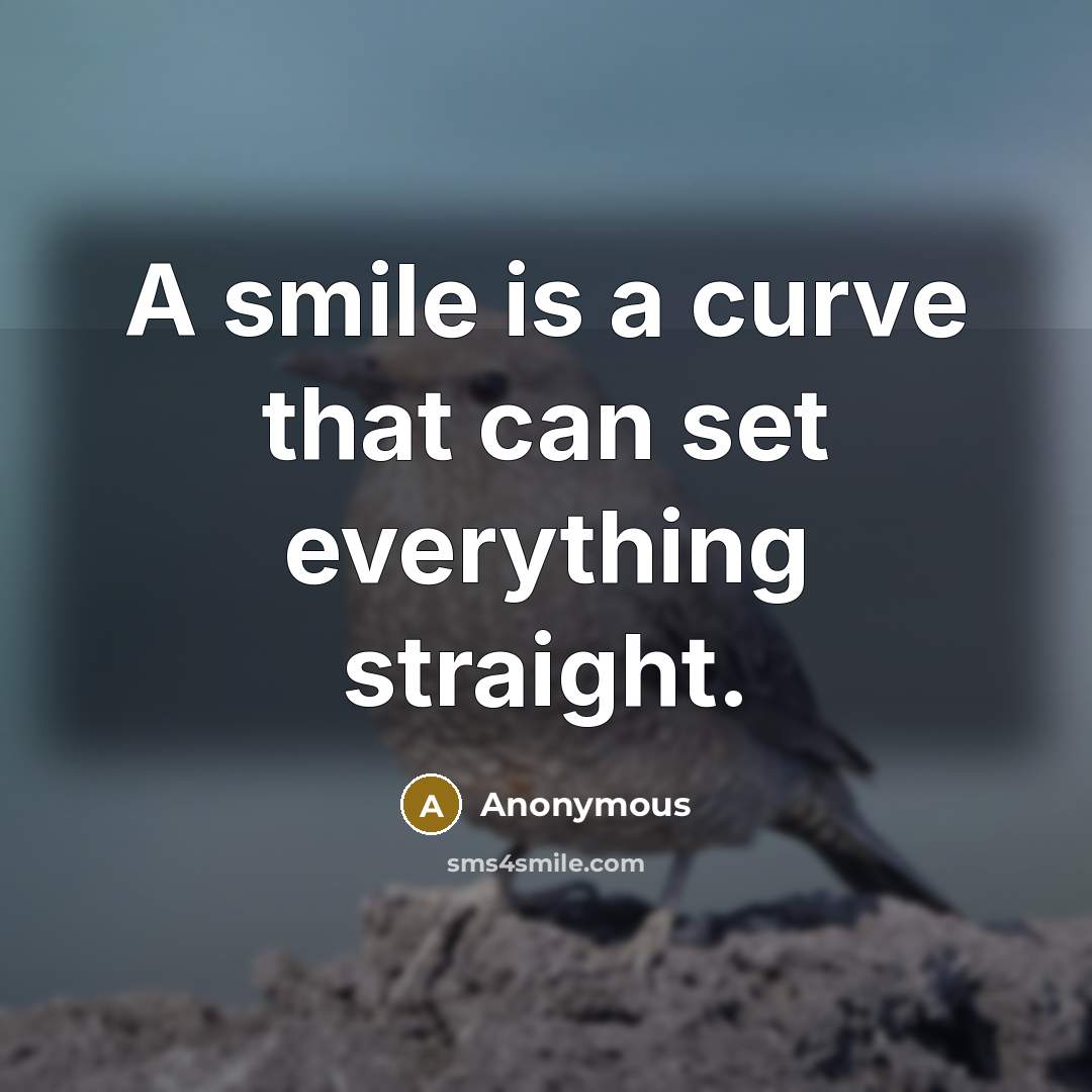 “A smile is a curve that can set everything straight.” quote by Anonymous