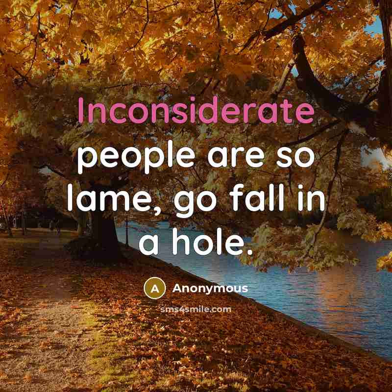 “Inconsiderate people are so lame, go fall in a hole.” quote by Anonymous
