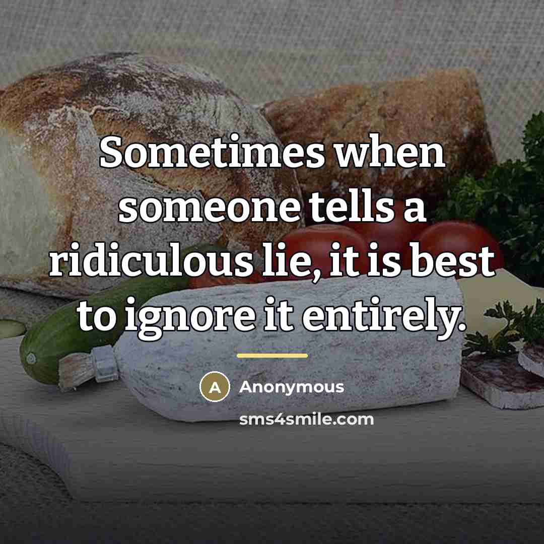 “Sometimes when someone tells a ridiculous lie, it is best…” quote by Anonymous
