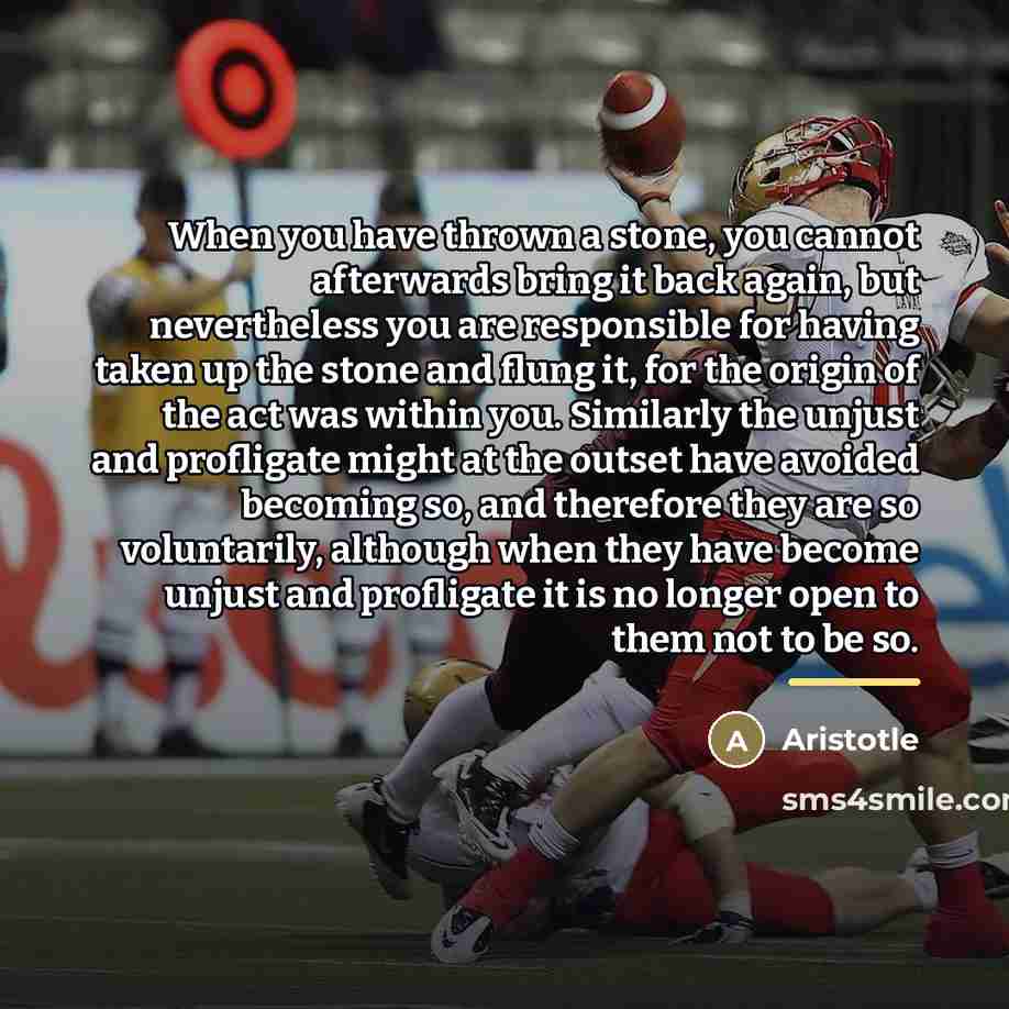“When you have thrown a stone, you cannot afterwards bring…” quote by Aristotle