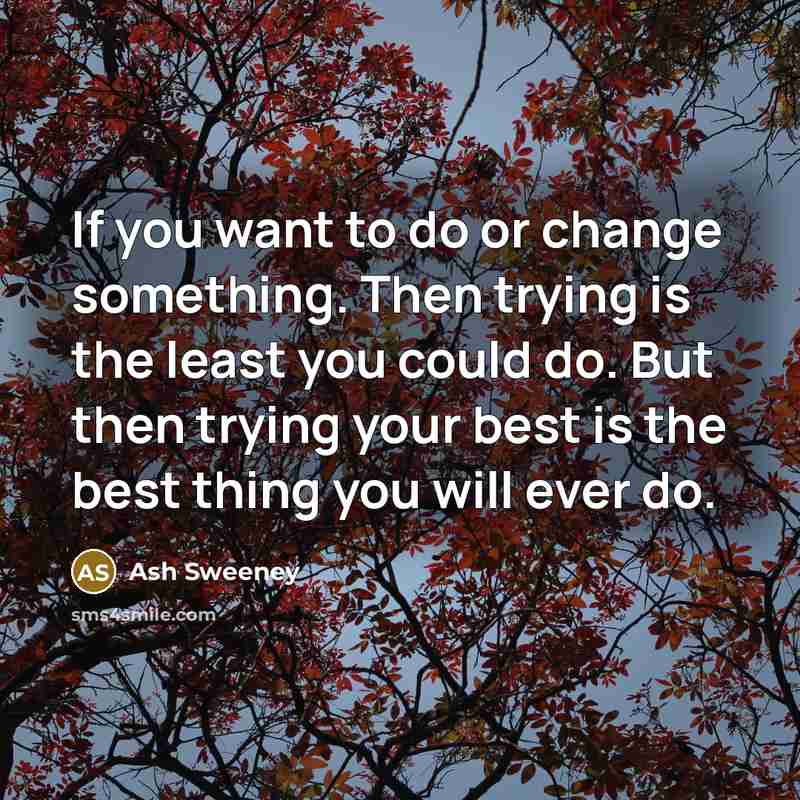 “If you want to do or change something. Then trying…” quote by Ash Sweeney