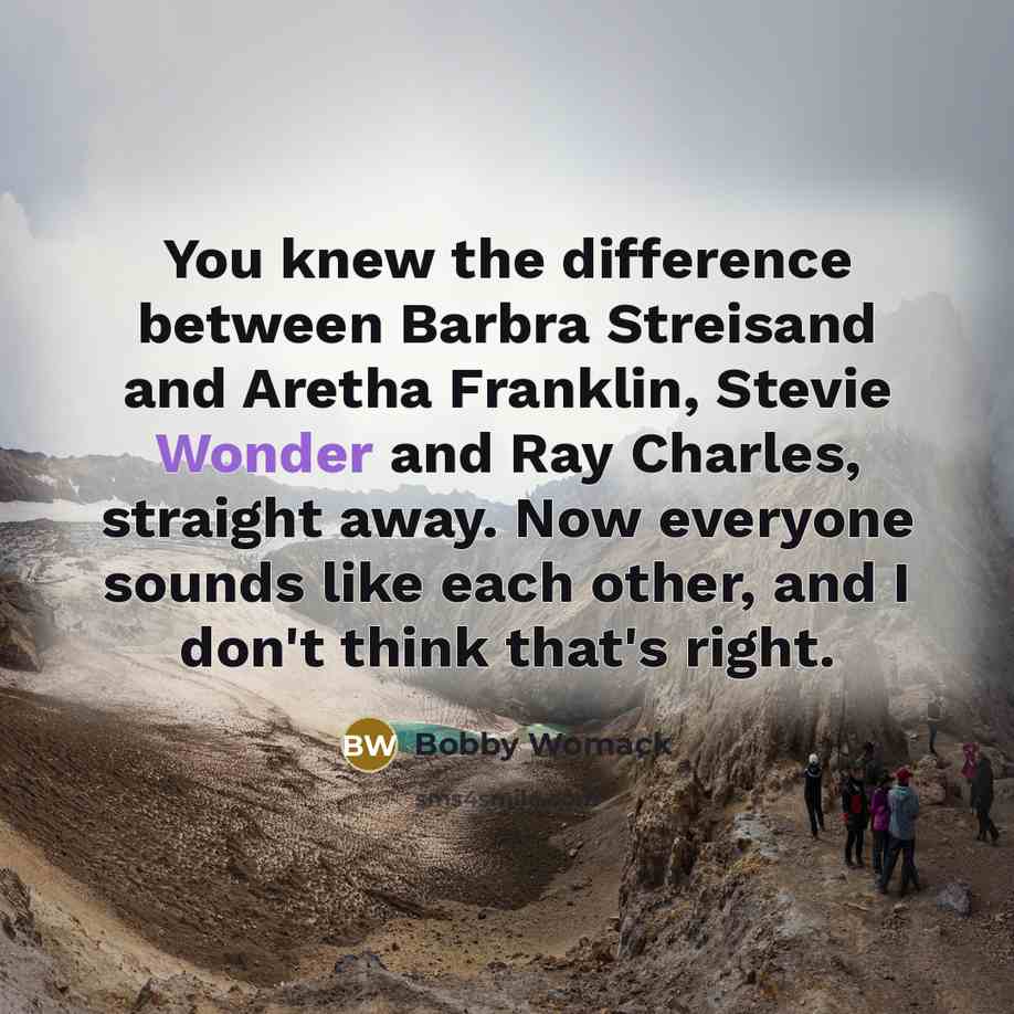 “You knew the difference between Barbra Streisand and Aretha Franklin,…” quote by Bobby Womack