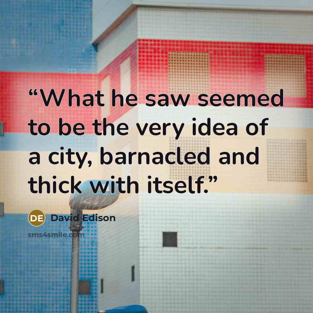 “What he saw seemed to be the very idea of a city, barnacled and thick with itself.” quote by David Edison