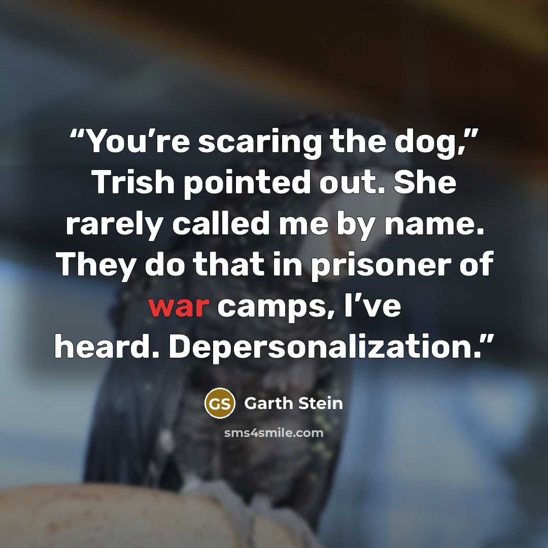 “You’re scaring the dog,” Trish pointed out. She rarely called me by name. They do that in prisoner of war camps, I’ve heard. Depersonalization.” quote by Garth Stein