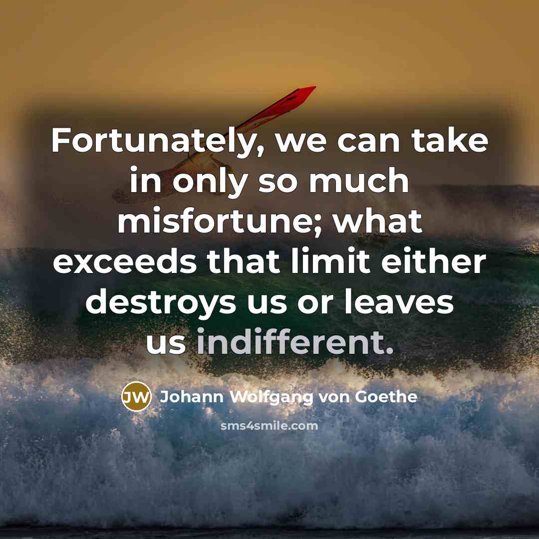“Fortunately, we can take in only so much misfortune; what…” quote by Johann Wolfgang von Goethe
