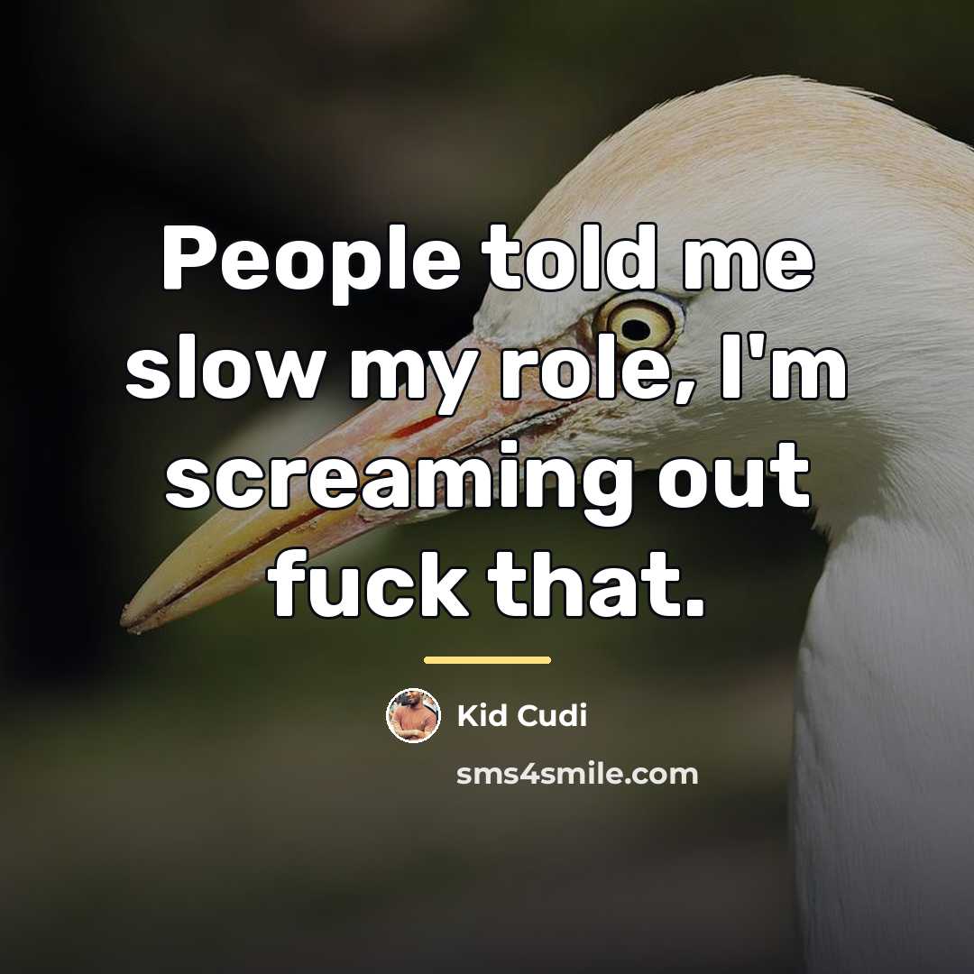 “People told me slow my role, I'm screaming out fuck…” quote by Kid Cudi