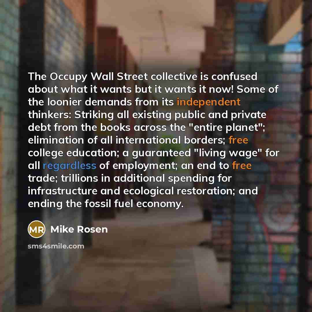 “The Occupy Wall Street collective is confused about what it…” quote by Mike Rosen