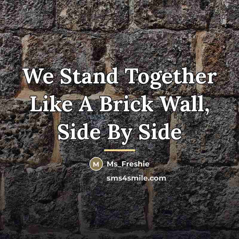 “We Stand Together Like A Brick Wall, Side By Side…” quote by Ms_Freshie