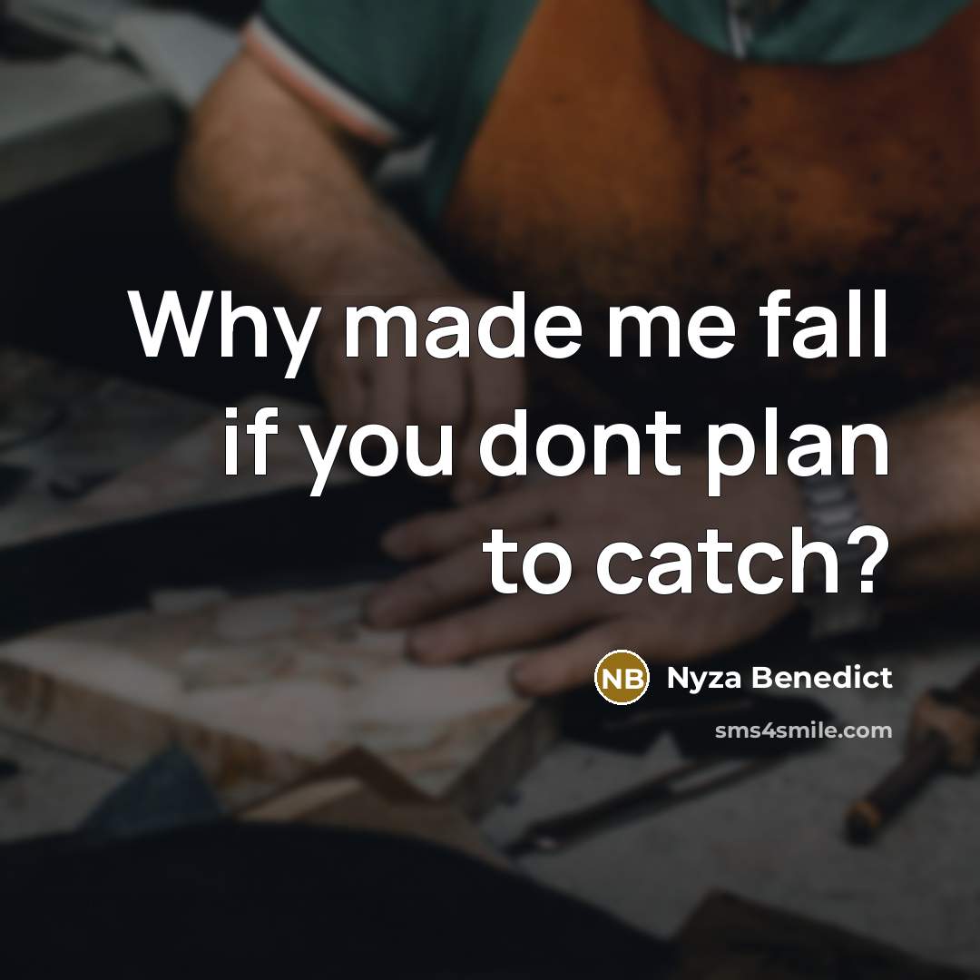 “Why made me fall if you dont plan to catch?…” quote by Nyza Benedict