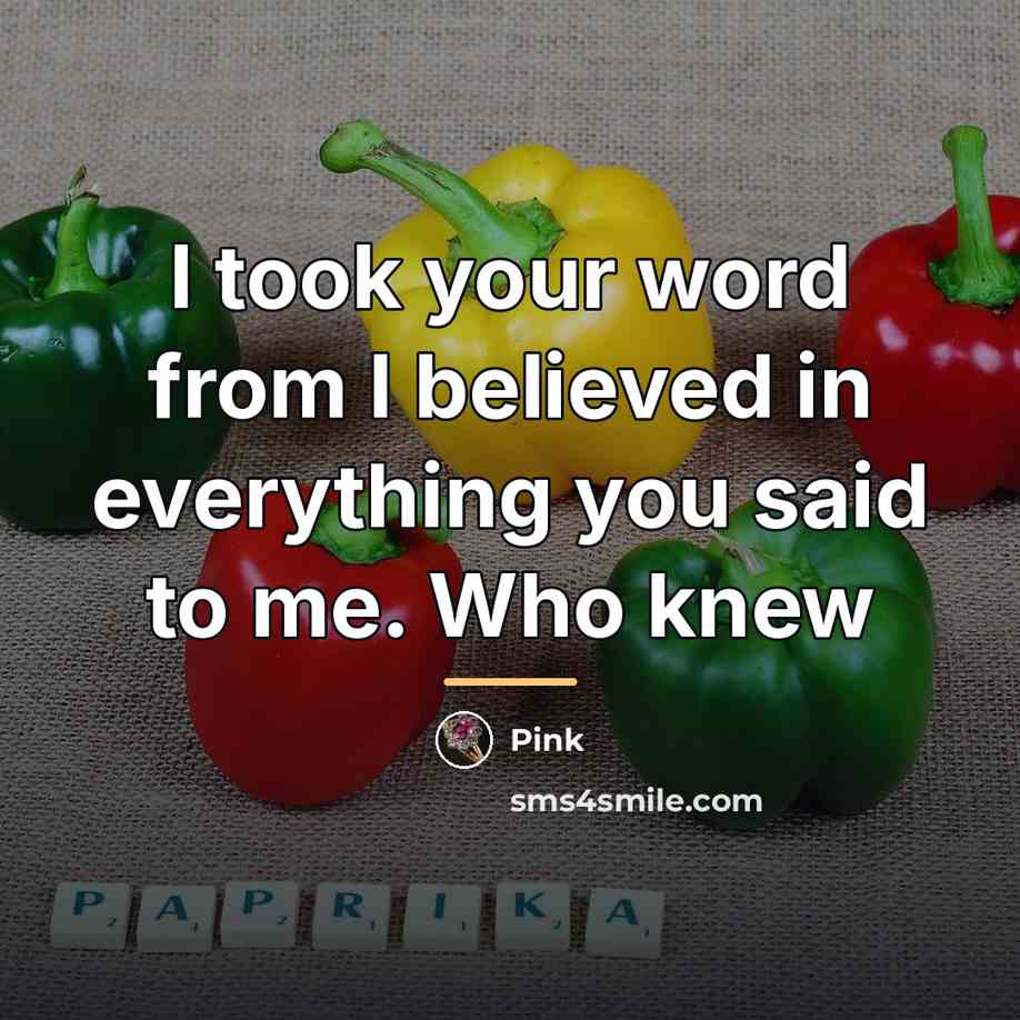 “I took your word from I believed in everything you…” quote by Pink