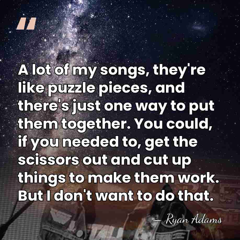 A lot of my songs, they're like puzzle pieces, and there's just&hellip; - Ryan Adams
