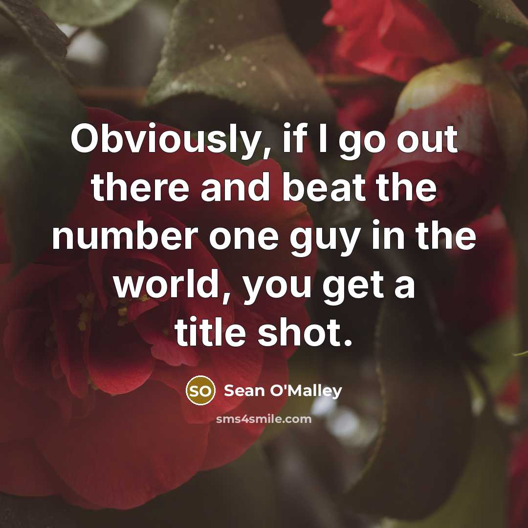 “Obviously, if I go out there and beat the number…” quote by Sean O'Malley
