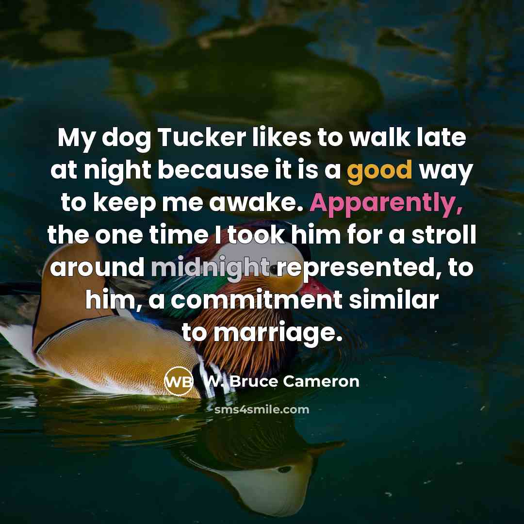 “My dog Tucker likes to walk late at night because it is a good way to keep me awake. Apparently, the one time I took him for a stroll around midnight represented, to him, a commitment similar to marriage.” quote by W. Bruce Cameron