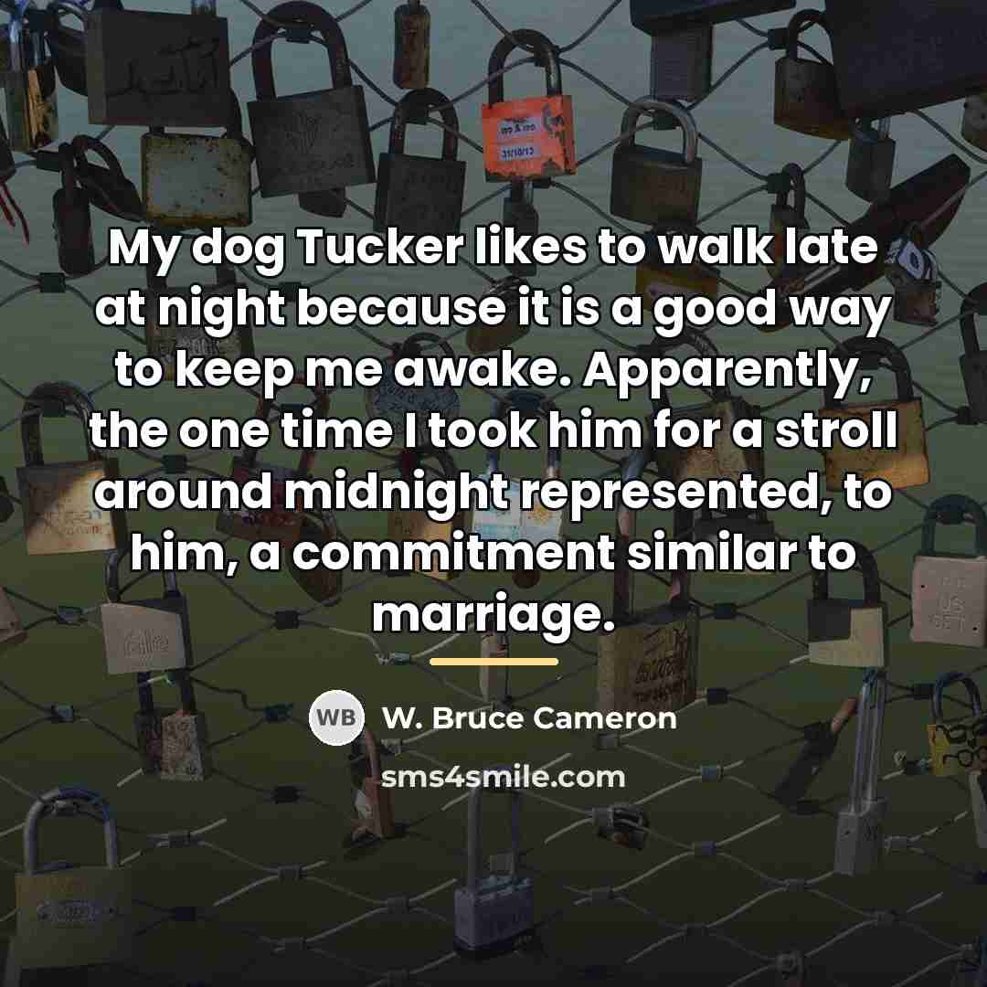 “My dog Tucker likes to walk late at night because…” quote by W. Bruce Cameron