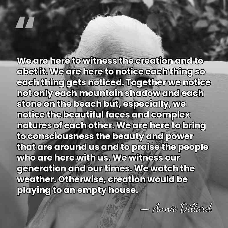 We are here to witness the creation and to abet it. We&hellip; - Annie Dillard
