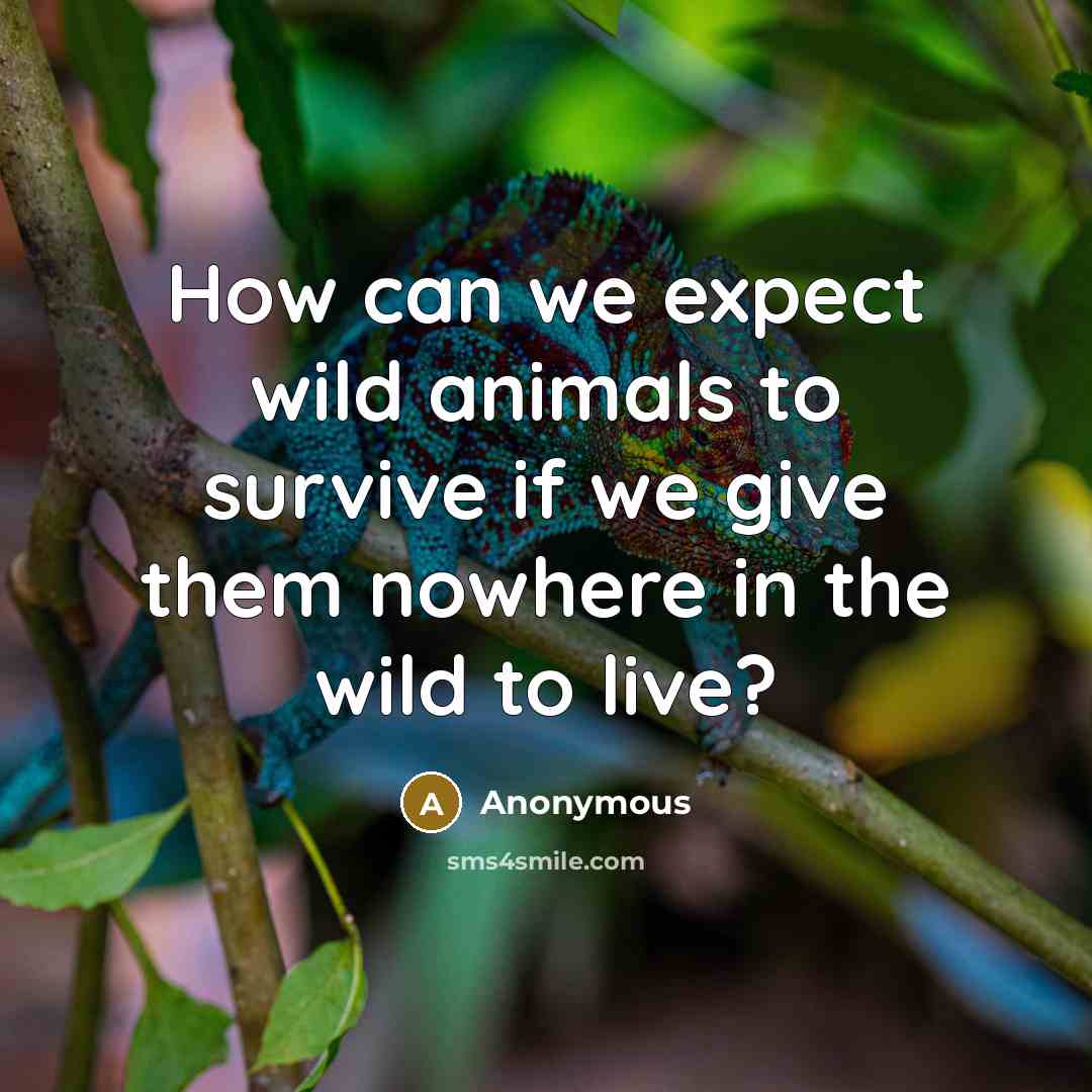 “How can we expect wild animals to survive if we…” quote by Anonymous