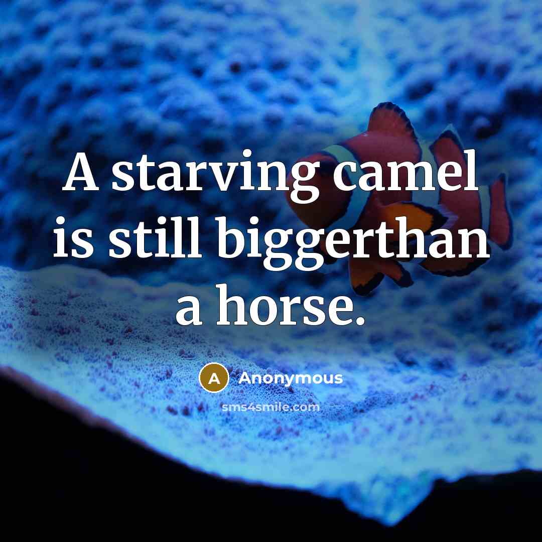 “A starving camel is still biggerthan a horse.” quote by Anonymous