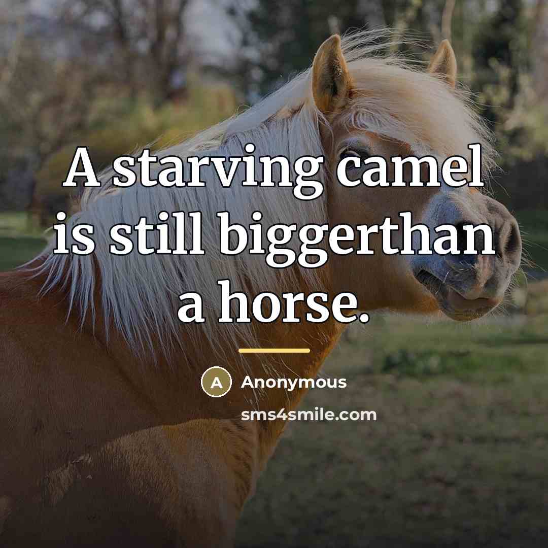 “A starving camel is still biggerthan a horse.…” quote by Anonymous