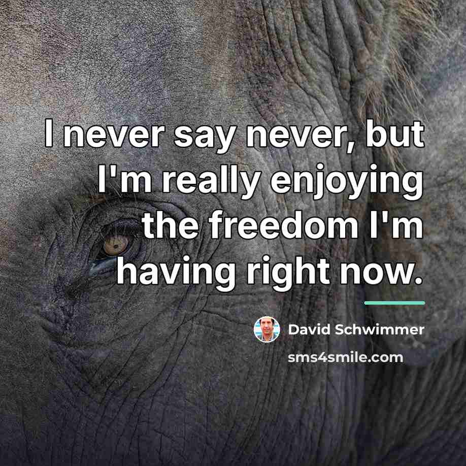 “I never say never, but I'm really enjoying the freedom…” quote by David Schwimmer
