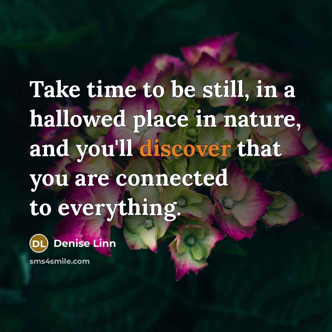 “Take time to be still, in a hallowed place in…” quote by Denise Linn