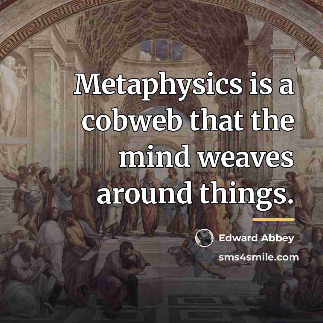 “Metaphysics is a cobweb that the mind weaves around things.…” quote by Edward Abbey