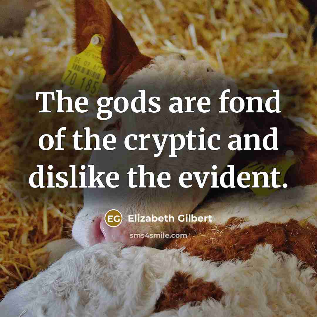 “The gods are fond of the cryptic and dislike the…” quote by Elizabeth Gilbert