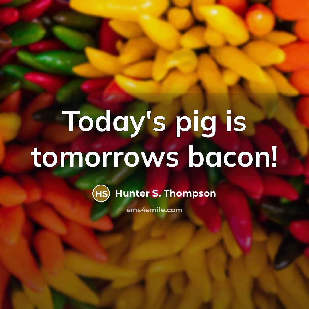 “Today's pig is tomorrows bacon!” quote by Hunter S. Thompson