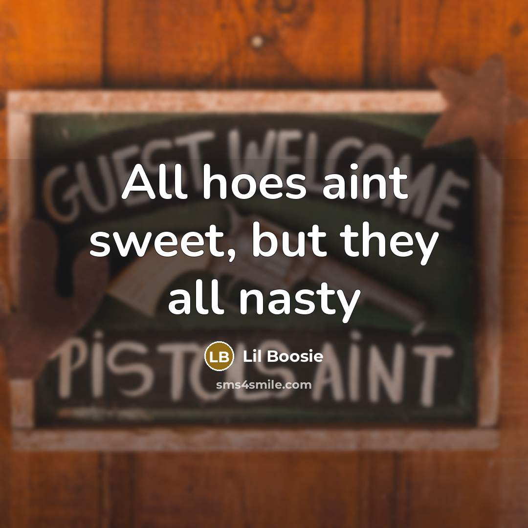 “All hoes aint sweet, but they all nasty” quote by Lil Boosie