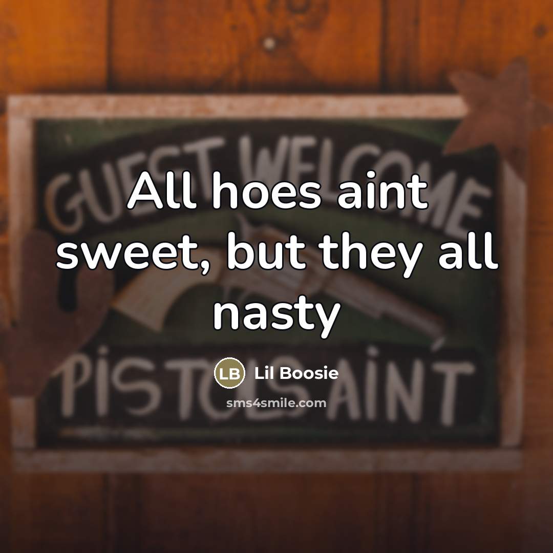 “All hoes aint sweet, but they all nasty…” quote by Lil Boosie