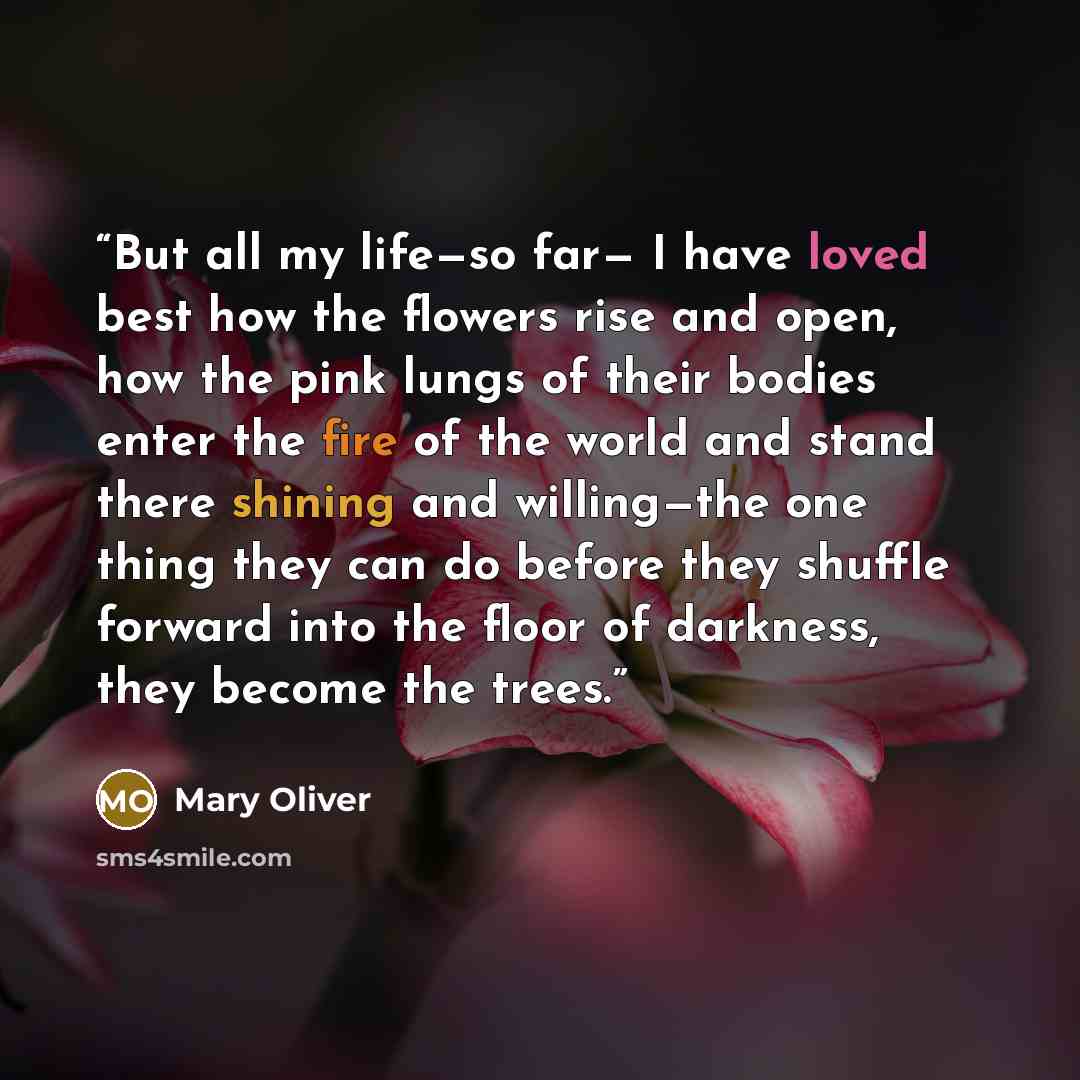 “But all my life—so far— I have loved best how the flowers rise and open, how the pink lungs of their bodies enter the fire of the world and stand there shining and willing—the one thing they can do before they shuffle forward into the floor of darkness, they become the trees.” quote by Mary Oliver