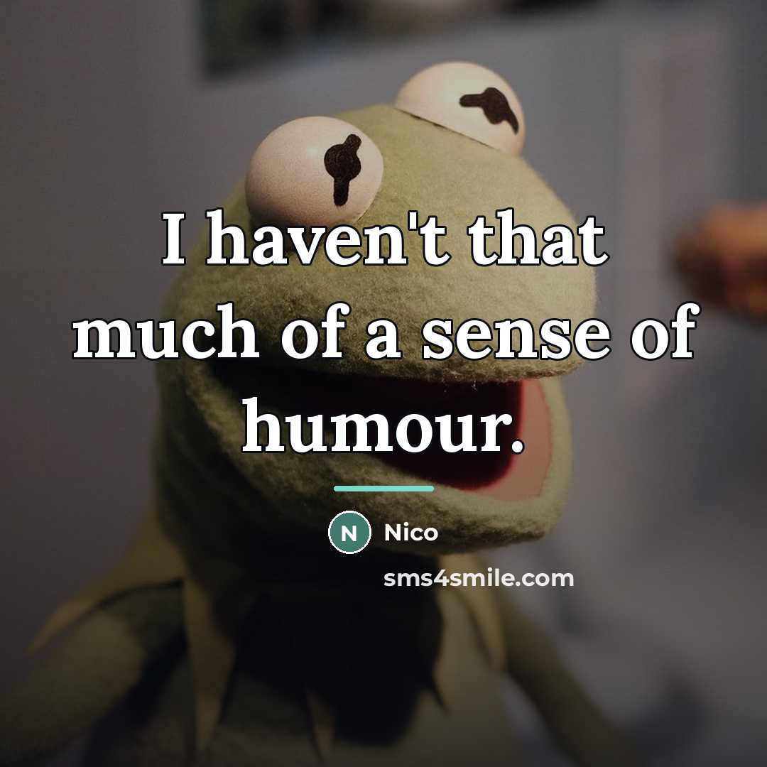 “I haven't that much of a sense of humour.…” quote by Nico