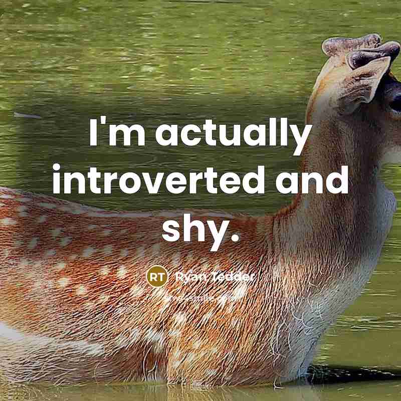 “I'm actually introverted and shy.…” quote by Ryan Tedder