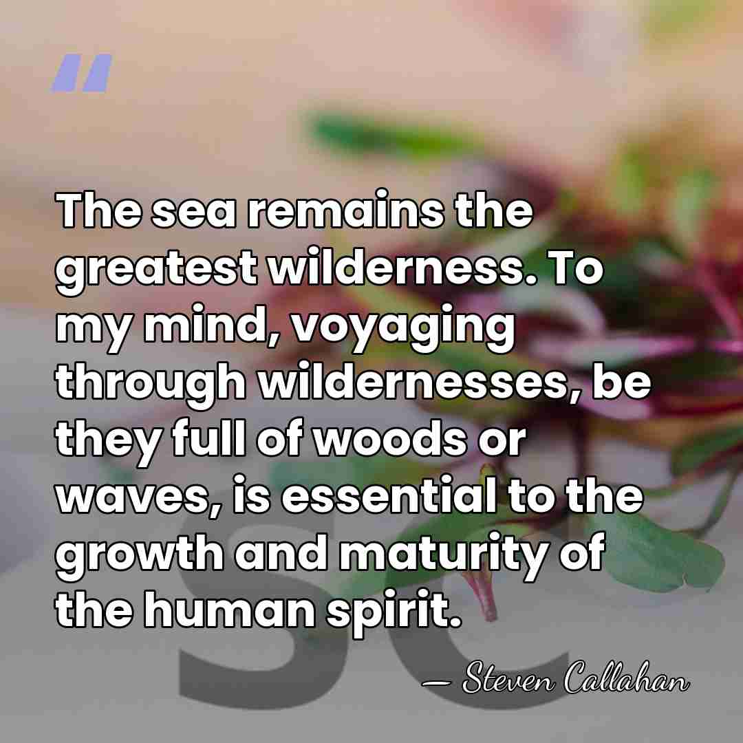 The sea remains the greatest wilderness. To my mind, voyaging through wildernesses,&hellip; - Steven Callahan