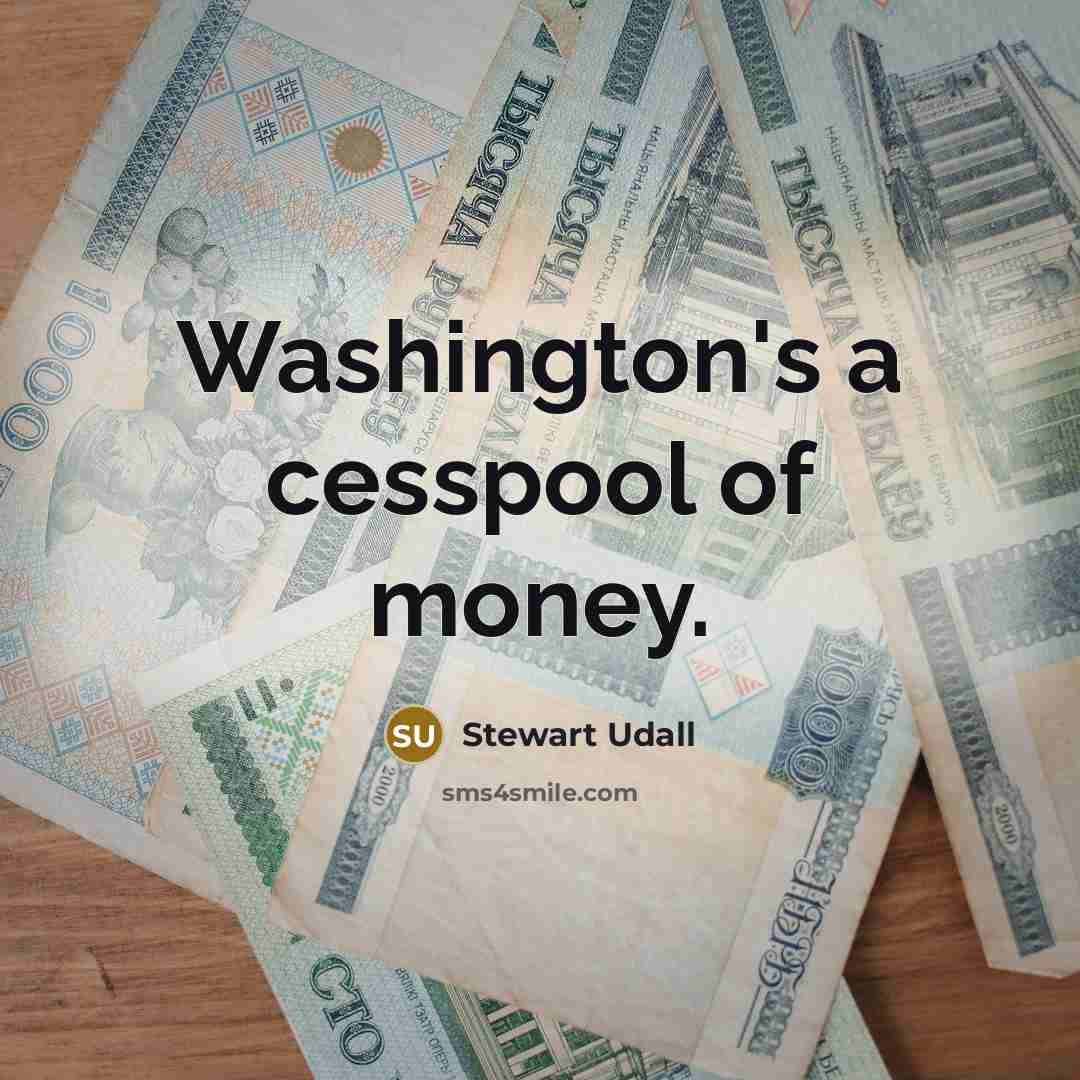 “Washington's a cesspool of money.…” quote by Stewart Udall