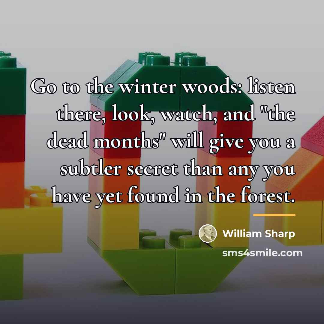 “Go to the winter woods: listen there, look, watch, and…” quote by William Sharp