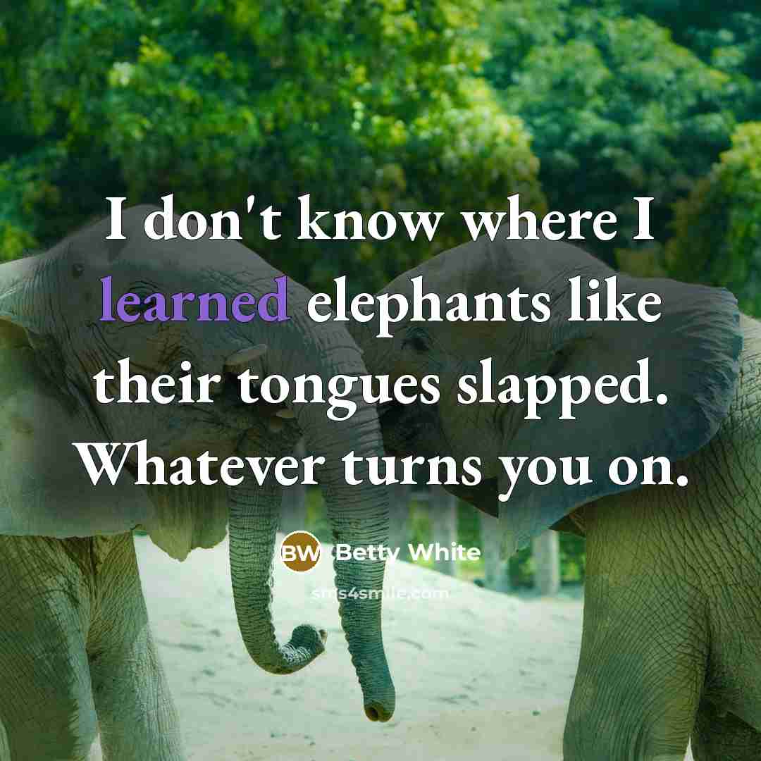 “I don't know where I learned elephants like their tongues…” quote by Betty White